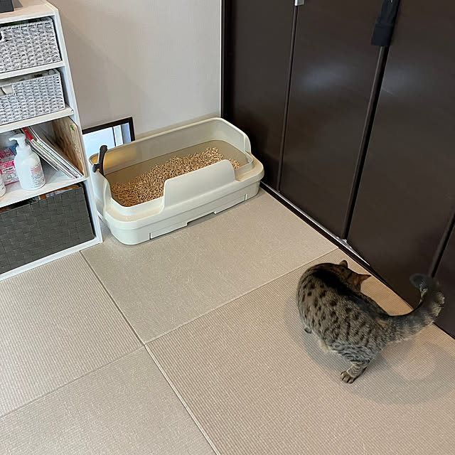 実例写真