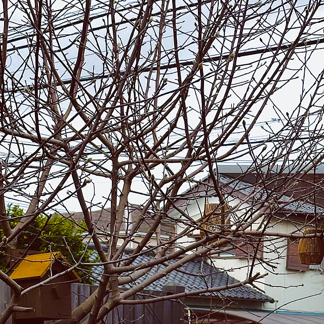 chacoさんの部屋