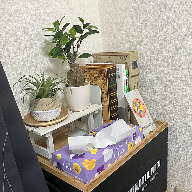 Youko-ropさんの部屋