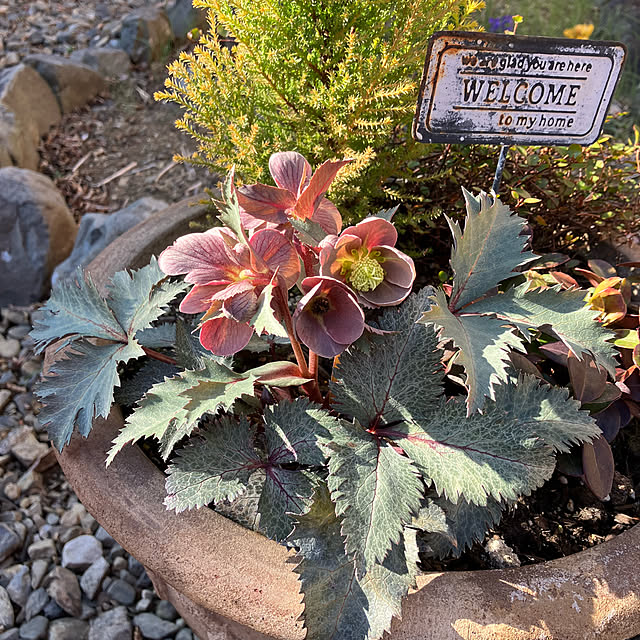 ikubooさんの部屋