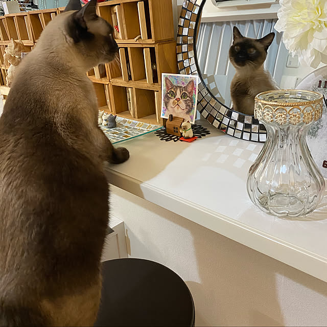 necoさんの実例写真