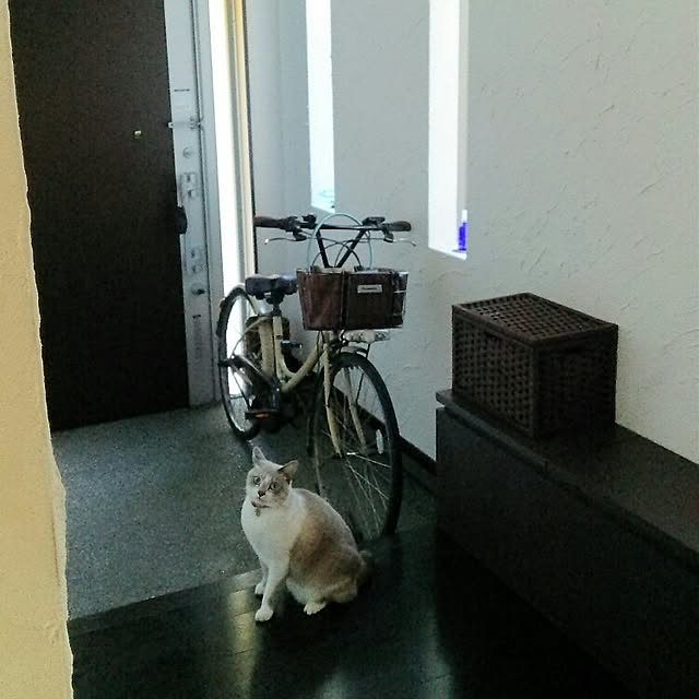 bonkiyoさんの実例写真