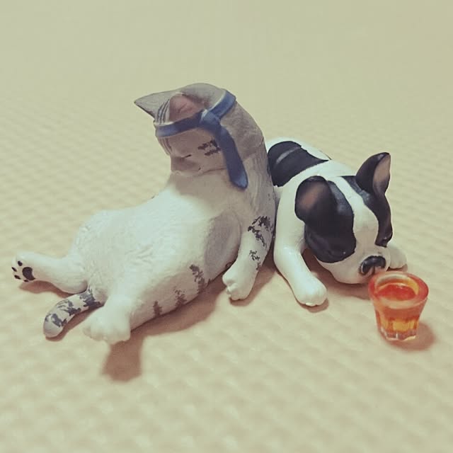 kiraさんの実例写真