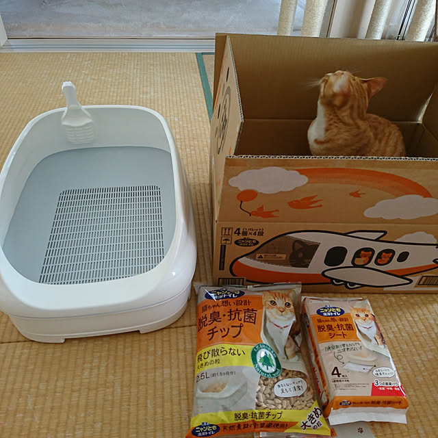 koromaroさんの実例写真