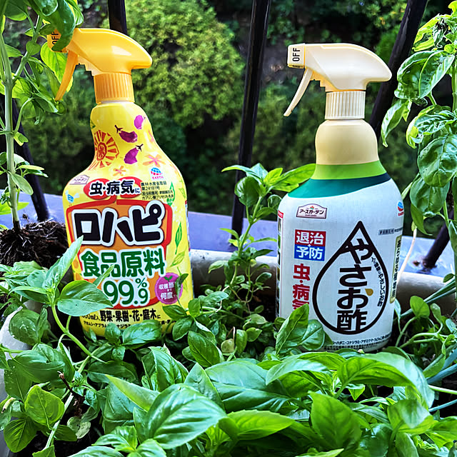 syutmmさんの実例写真