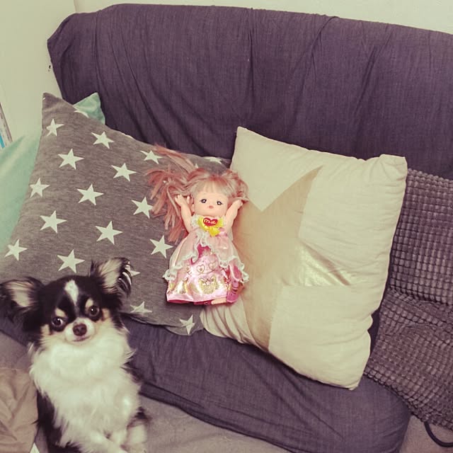 Yayoiさんの実例写真