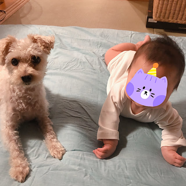 yさんの実例写真