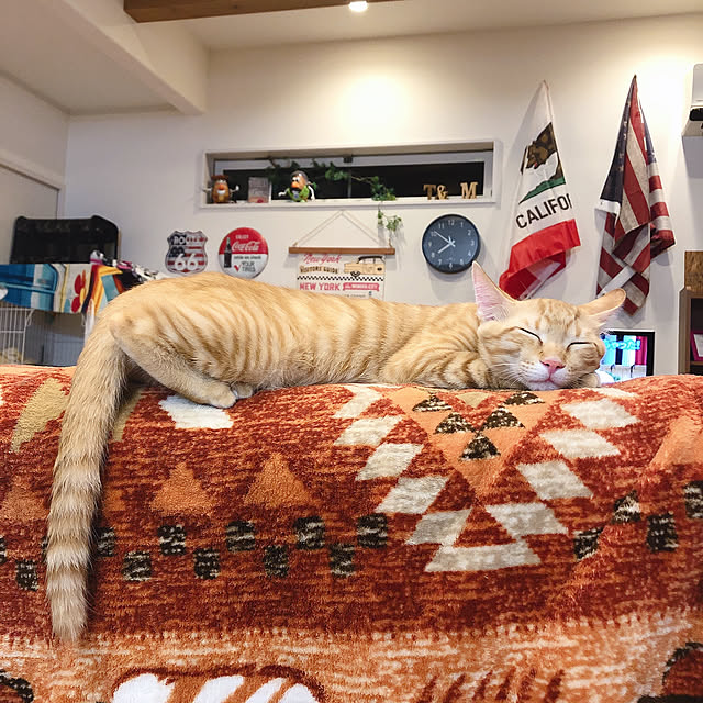 machiさんの実例写真