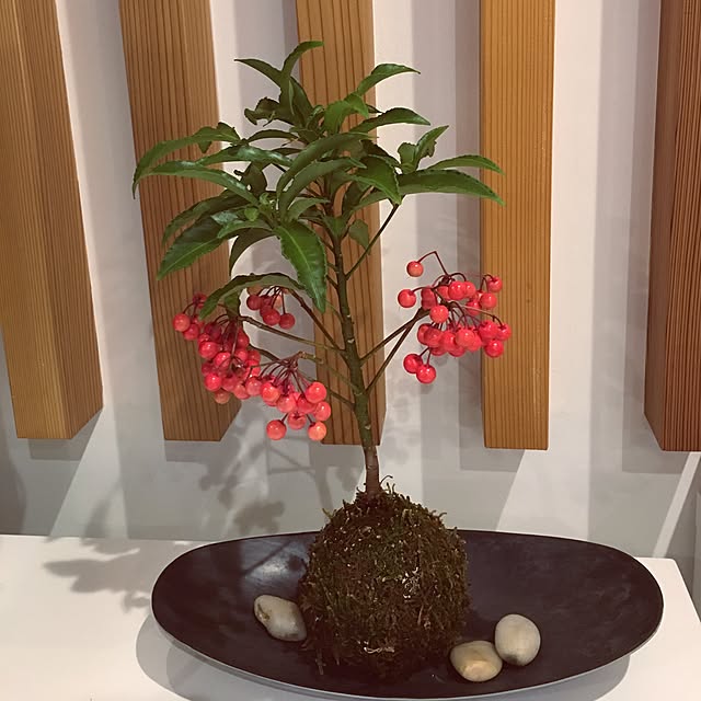 0727Macoriさんの実例写真