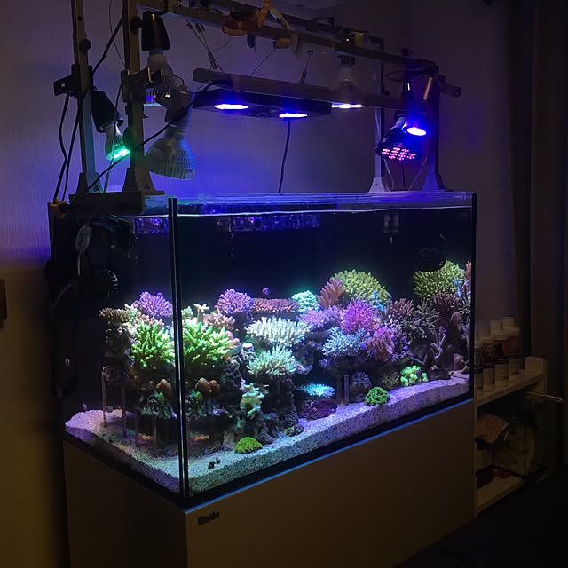 aquarium_seaさんの実例写真
