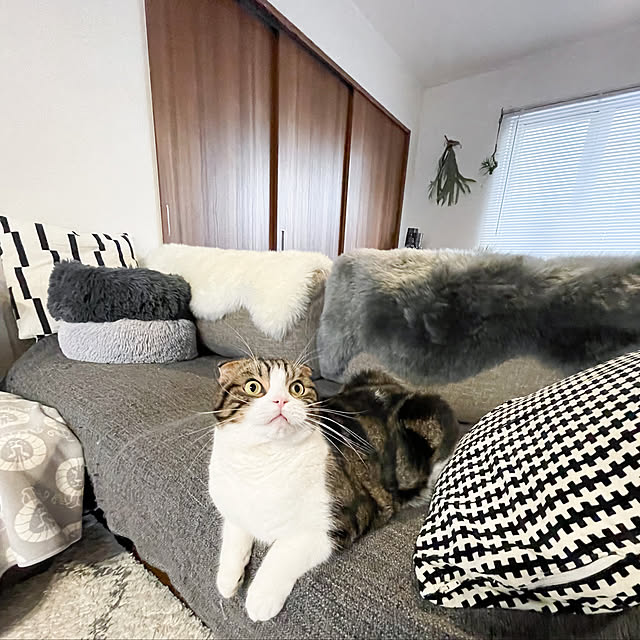 tansukeさんの実例写真