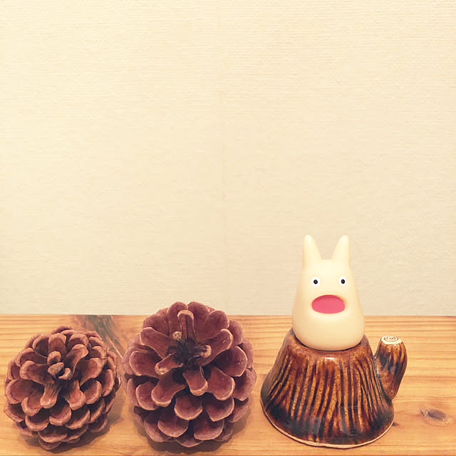 kamecoさんの実例写真