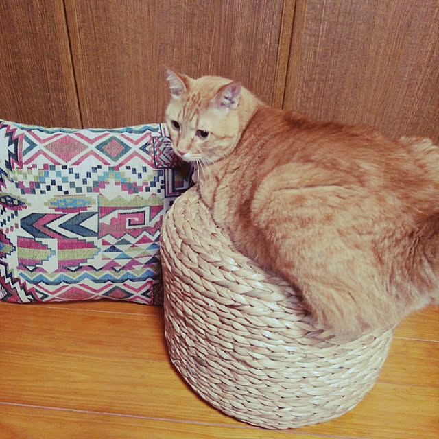 hugさんの実例写真