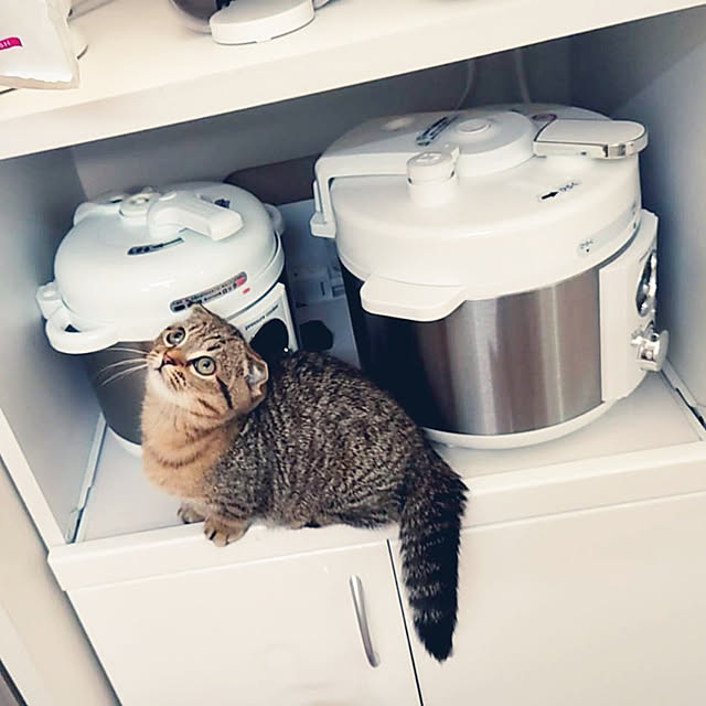 noguriさんの実例写真