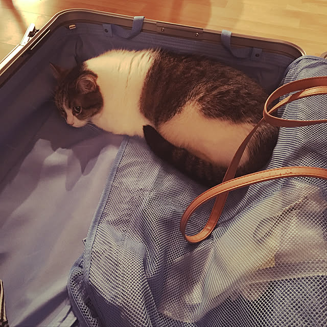 Keiさんの実例写真