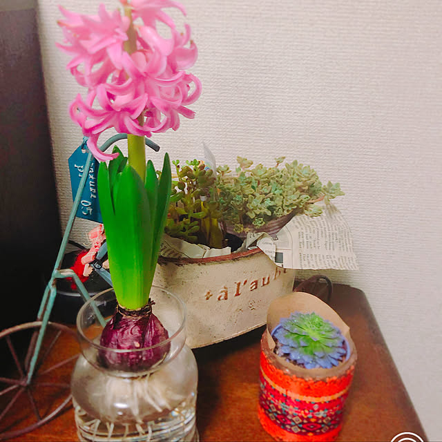 naoさんの実例写真
