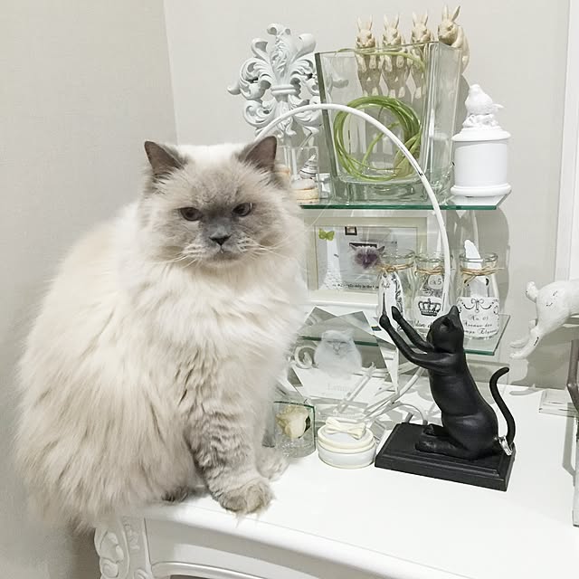 yuchiさんの実例写真