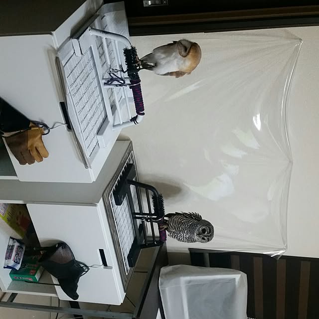 mofumenmaさんの実例写真