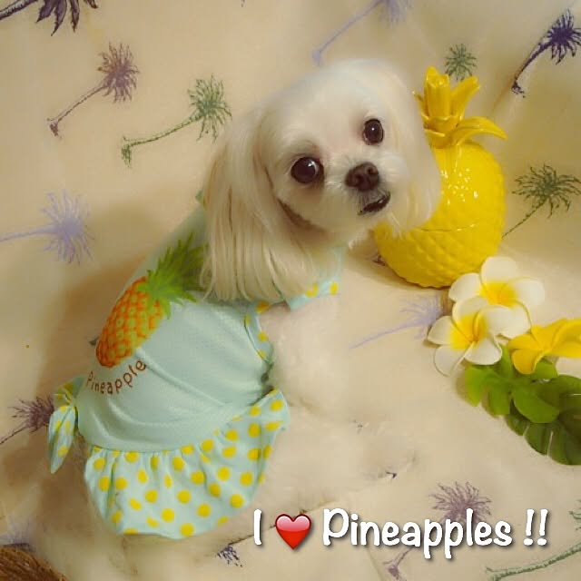 Sonokoさんの実例写真