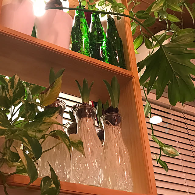 sakurasakuさんの実例写真