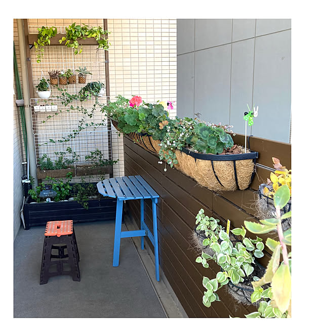 marukoさんの部屋
