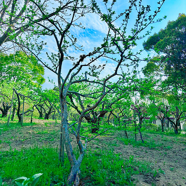 naokoさんの部屋