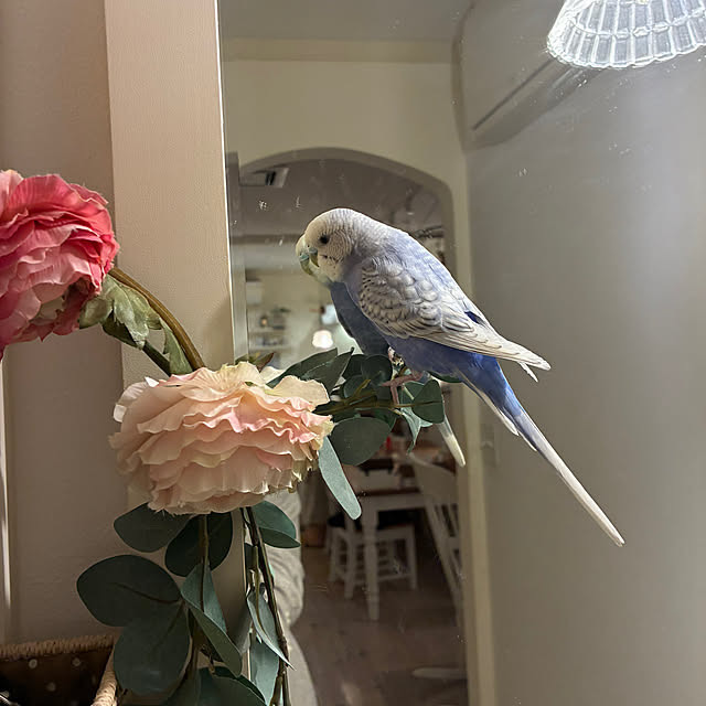 sakuraさんの部屋