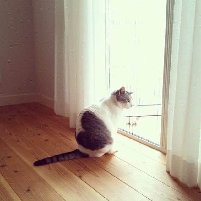 Tomo3さんの実例写真