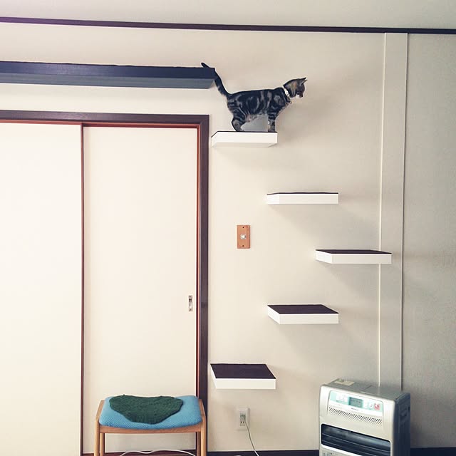 rikazoさんの実例写真