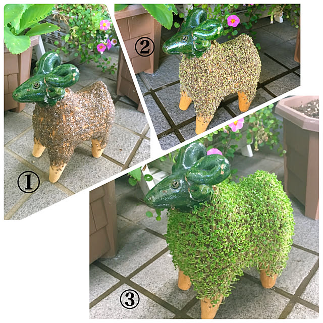 cactus0610さんの実例写真