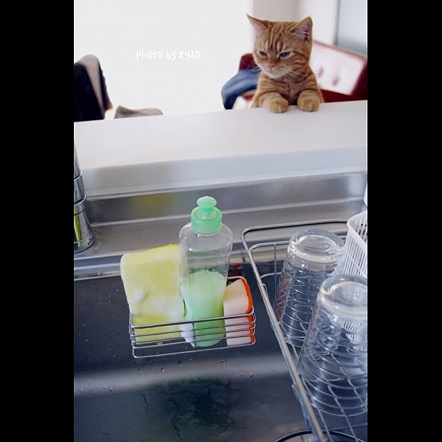 kyaoさんの実例写真