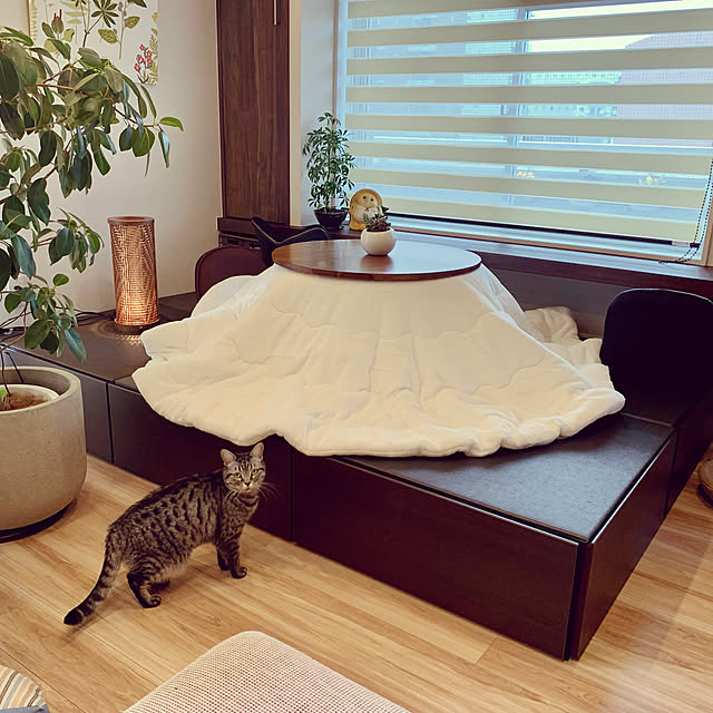 akimamさんの実例写真