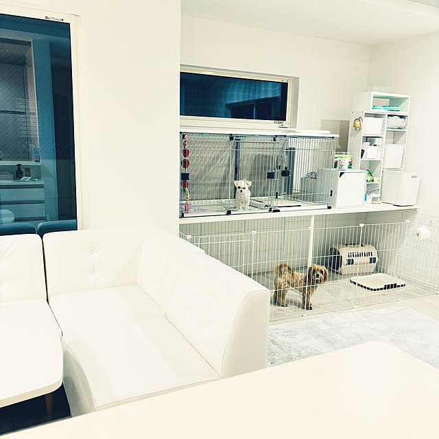 kakikuさんの部屋