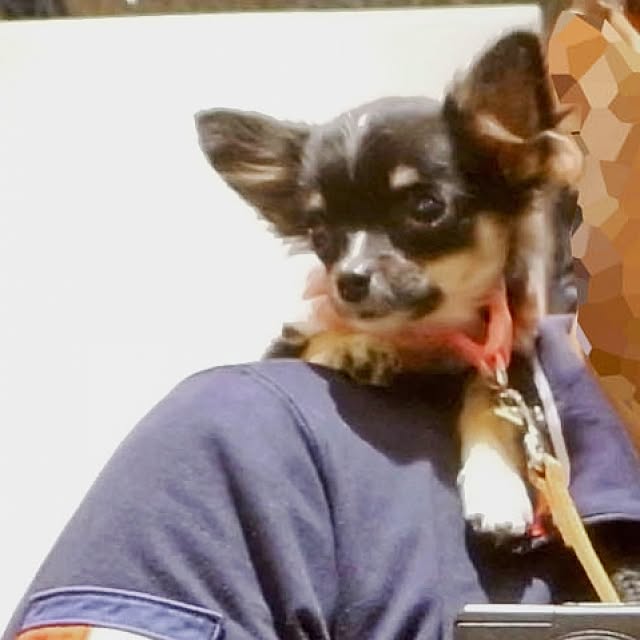 Shunsukeさんの実例写真