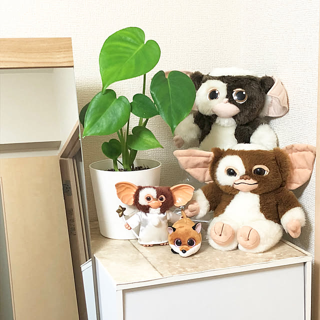 Hitomiさんの実例写真
