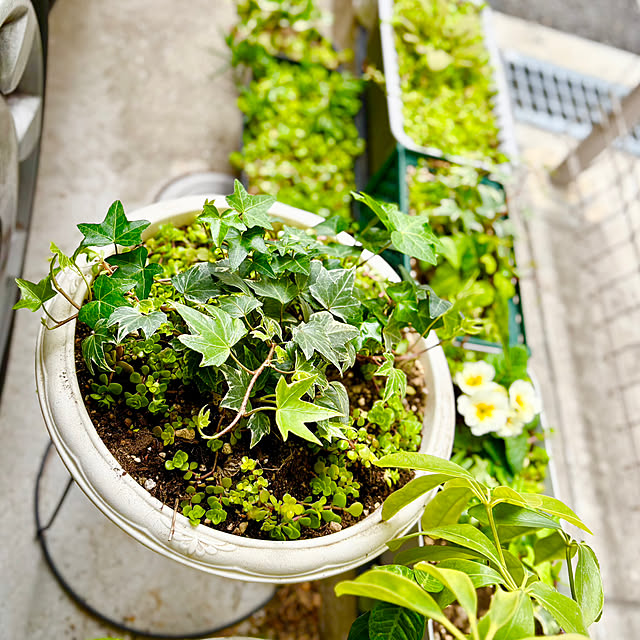 tututu0204さんの部屋