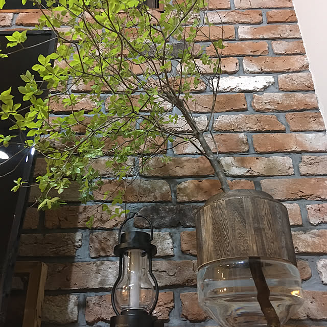 雑貨/観葉植物/アンティーク/照明/男前...などのインテリア実例 - 2021-05-05 12:40:45