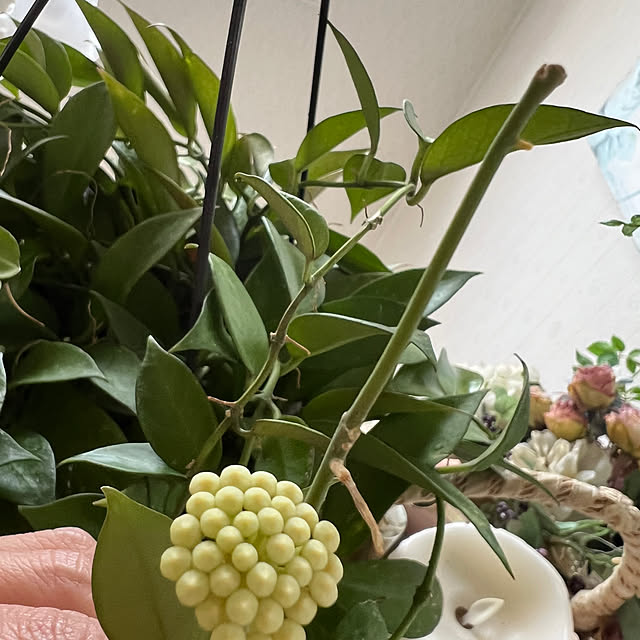 AYUKOさんの部屋