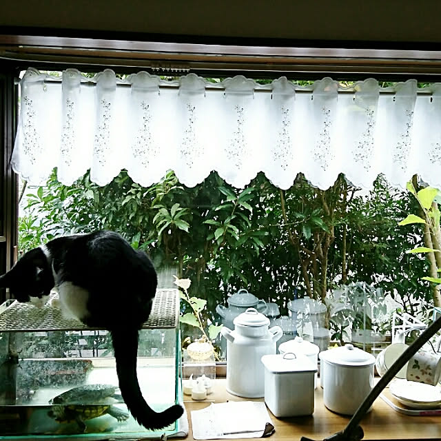 Mooさんの実例写真