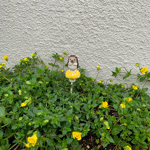 momoさんの実例写真
