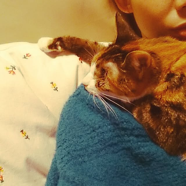 mofukoさんの実例写真