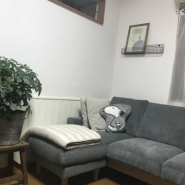 実例写真