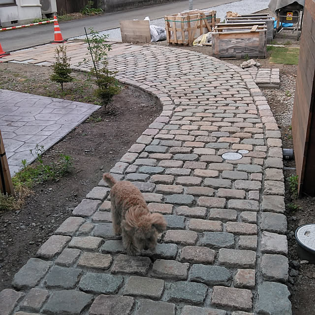 harumocaさんの実例写真