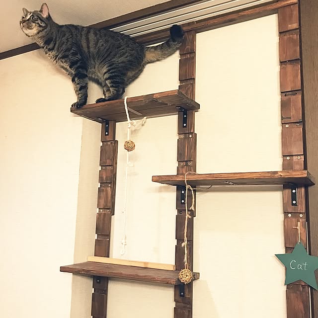 mayuさんの実例写真