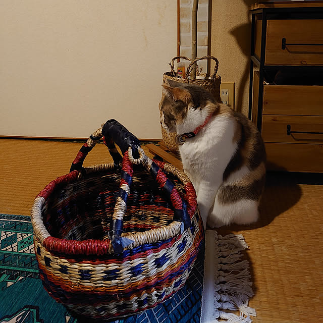 fukuさんの実例写真