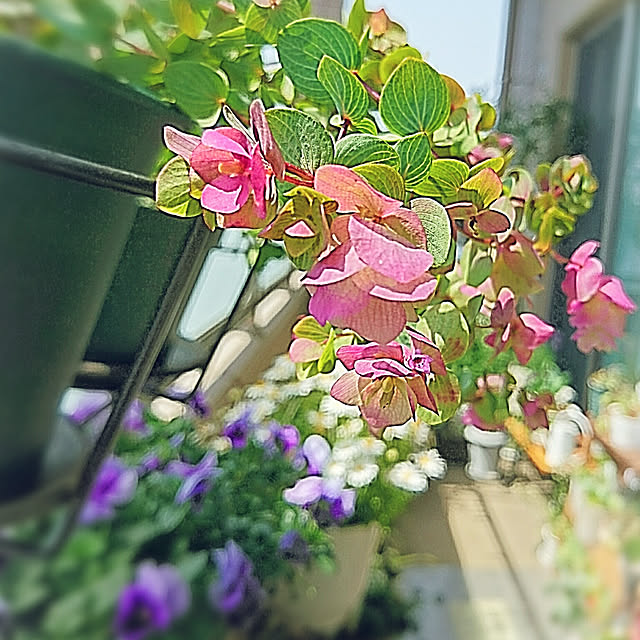 YuriYuriさんの実例写真