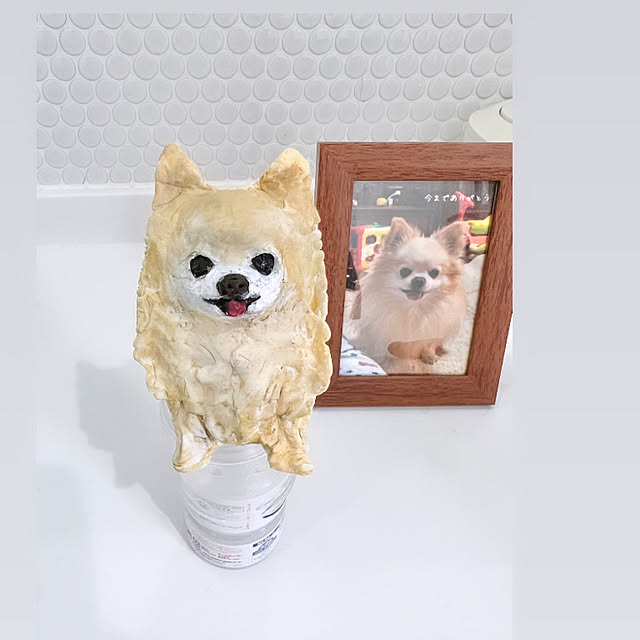 ponさんの実例写真