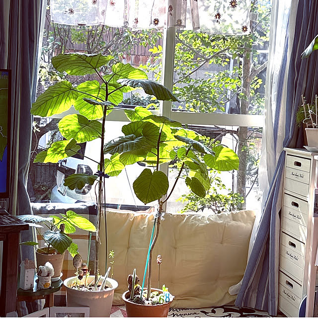 takakoさんの実例写真