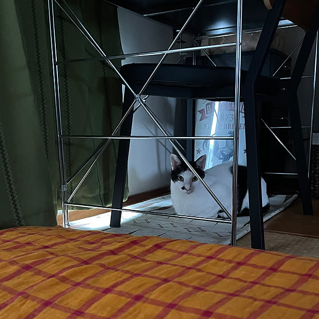 nobikoさんの部屋