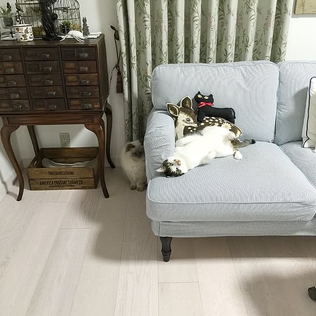 yuchiさんの実例写真